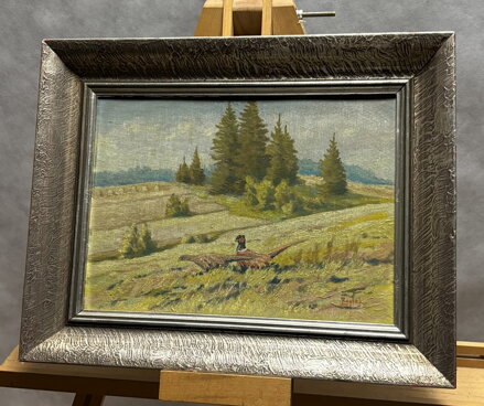 BAŽANTI NA STRÁNI - REJLEK