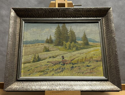 BAŽANTI NA STRÁNI - REJLEK