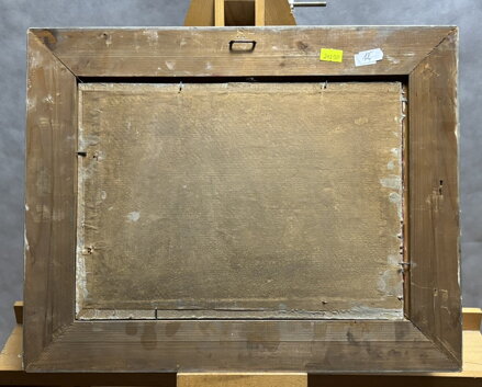 BAŽANTI NA STRÁNI - REJLEK