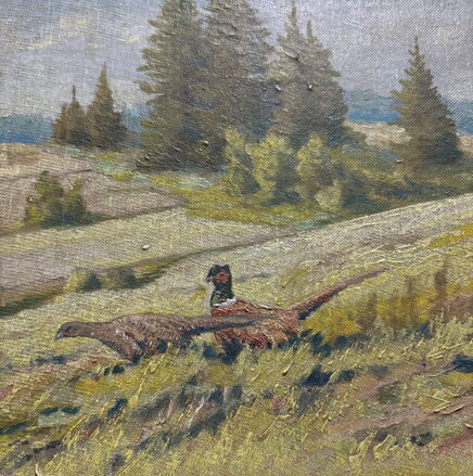 BAŽANTI NA STRÁNI - REJLEK