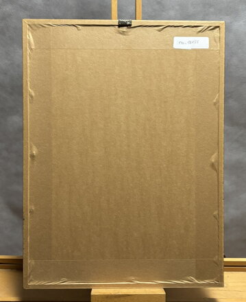 PRAHA STŘECHY A VĚŽE - RYDVALOVÁ ZAPLETALOVÁ MAGDA