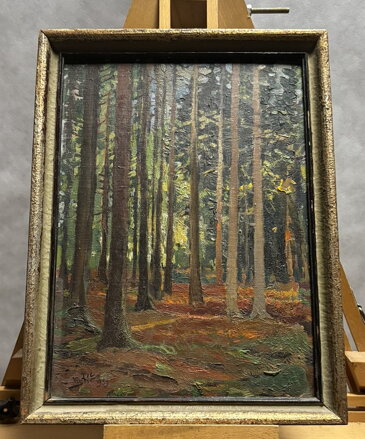 BŘEZINA VITANOVSKÁ - RYTÍŘ VÁCLAV