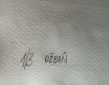 AKT DŽBÁN - SAUDEK PATRIK