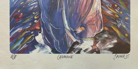 LEVANDULE - SAUDEK PATRIK