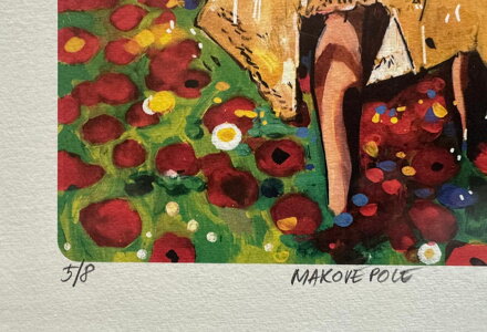 MAKOVÉ POLE - SAUDEK PATRIK