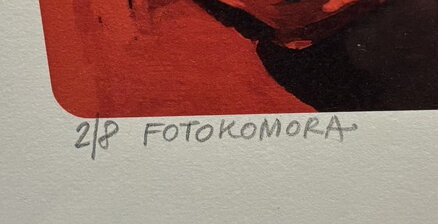 OHEŇ FOTOKOMORA - SAUDEK PATRIK