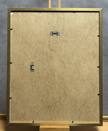 OHEŇ FOTOKOMORA - SAUDEK PATRIK