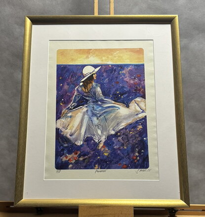 PROVANCE - SAUDEK PATRIK