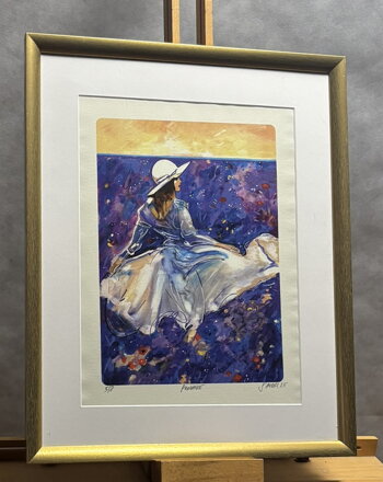 PROVANCE - SAUDEK PATRIK