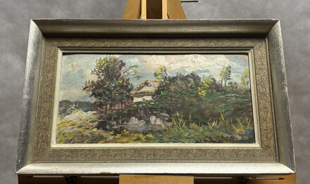 CHALUPA V ZELENI - SEDLÁČEK EMIL