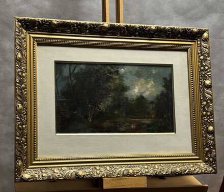 MOTIV ZE STARÉHO PARKU - SIGMUND KAREL JAN