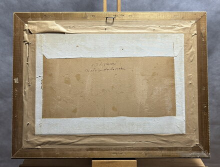 MOTIV ZE STARÉHO PARKU - SIGMUND KAREL JAN