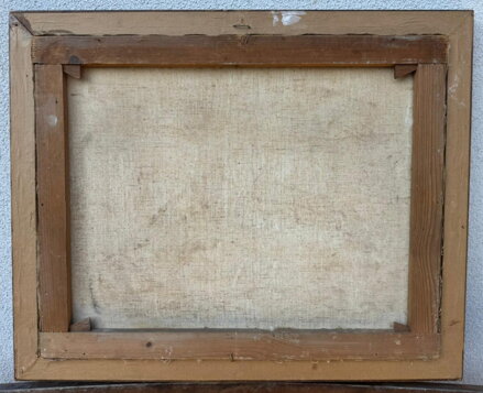 ZIMA NA VSI - ŠKRABÁNEK FRANTIŠEK