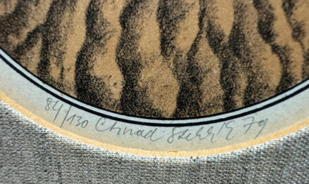 KAMENY V POLÍCH - STEHLÍK CTIRAD