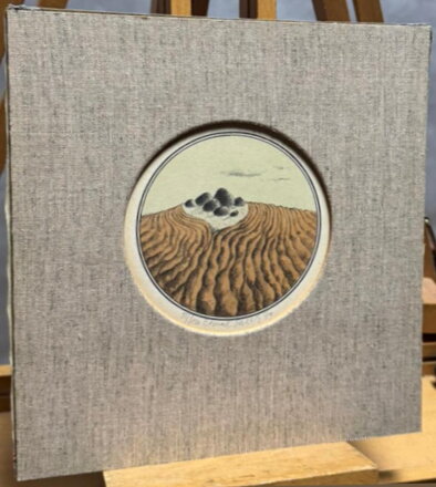 KAMENY V POLÍCH - STEHLÍK CTIRAD