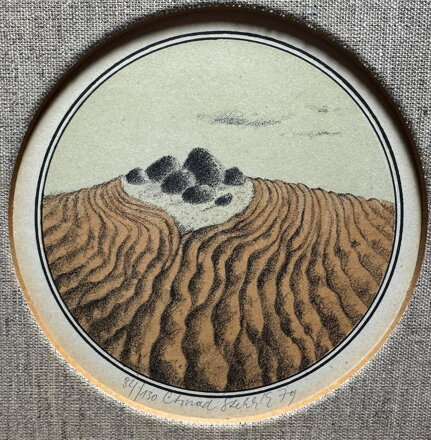 KAMENY V POLÍCH - STEHLÍK CTIRAD