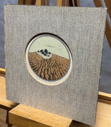 KAMENY V POLÍCH - STEHLÍK CTIRAD