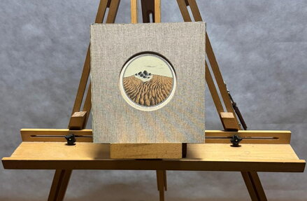 KAMENY V POLÍCH - STEHLÍK CTIRAD