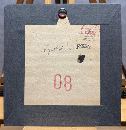 KAMENY V POLÍCH - STEHLÍK CTIRAD