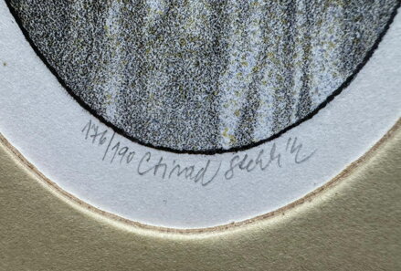 VOSY NA HRUŠCE - STEHLÍK CTIRAD