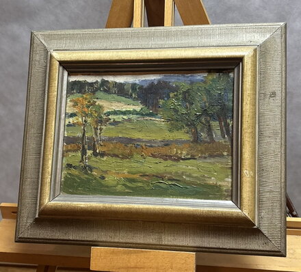 MOTIV Z ČESKOMORAVSKÉ VYSOČINY - STEHLÍK JINDŘICH