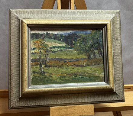 MOTIV Z ČESKOMORAVSKÉ VYSOČINY - STEHLÍK JINDŘICH