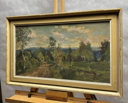 LÉTO V KRAJINĚ - STEHLÍK KAREL