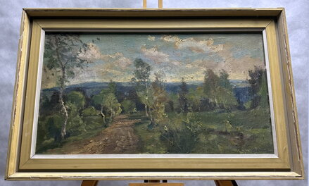 LÉTO V KRAJINĚ - STEHLÍK KAREL