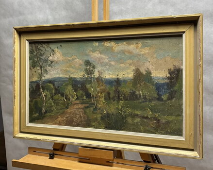 LÉTO V KRAJINĚ - STEHLÍK KAREL