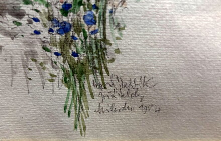 LUČNÍ KVÍTÍ - STEHLÍK KAREL