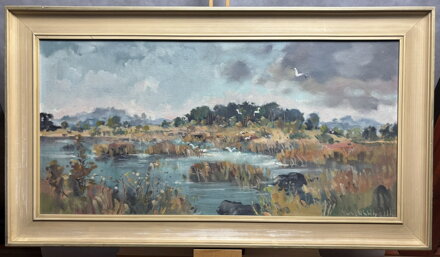 PTÁCI NAD RÁKOSÍM - STEHLÍK KAREL