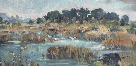 PTÁCI NAD RÁKOSÍM - STEHLÍK KAREL