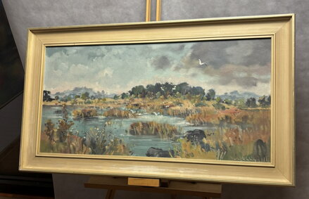 PTÁCI NAD RÁKOSÍM - STEHLÍK KAREL