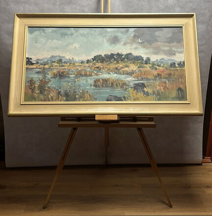 PTÁCI NAD RÁKOSÍM - STEHLÍK KAREL