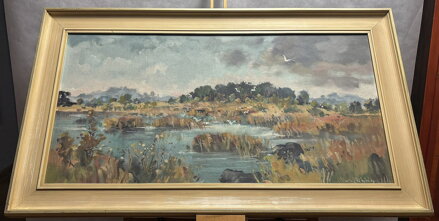 PTÁCI NAD RÁKOSÍM - STEHLÍK KAREL