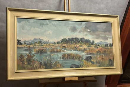 PTÁCI NAD RÁKOSÍM - STEHLÍK KAREL