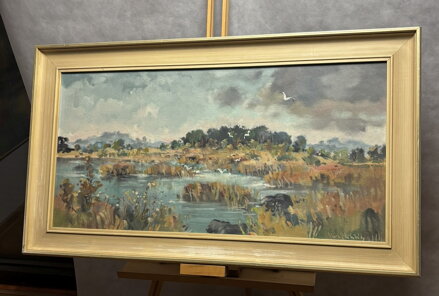 PTÁCI NAD RÁKOSÍM - STEHLÍK KAREL