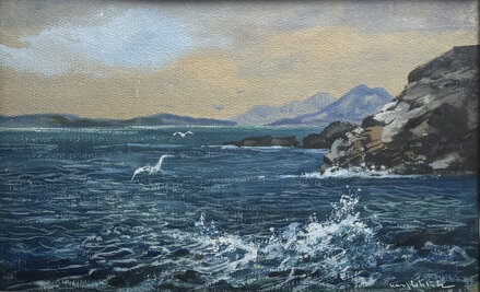 RACKOVÉ U MOŘSKÉHO POBŘEŽÍ - STEHLÍK KAREL