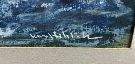 RACKOVÉ U MOŘSKÉHO POBŘEŽÍ - STEHLÍK KAREL