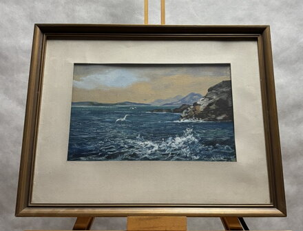 RACKOVÉ U MOŘSKÉHO POBŘEŽÍ - STEHLÍK KAREL