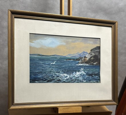 RACKOVÉ U MOŘSKÉHO POBŘEŽÍ - STEHLÍK KAREL