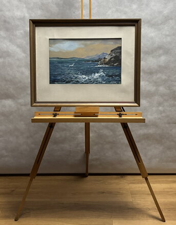 RACKOVÉ U MOŘSKÉHO POBŘEŽÍ - STEHLÍK KAREL