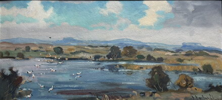 RYBNÍK V JIŽNÍCH ČECHÁCH - STEHLÍK KAREL