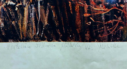 SVĚDKOVÉ STALETÍ - REPRODUKCE - STEHLÍK KAREL