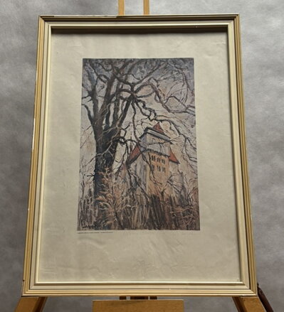 SVĚDKOVÉ STALETÍ - REPRODUKCE - STEHLÍK KAREL