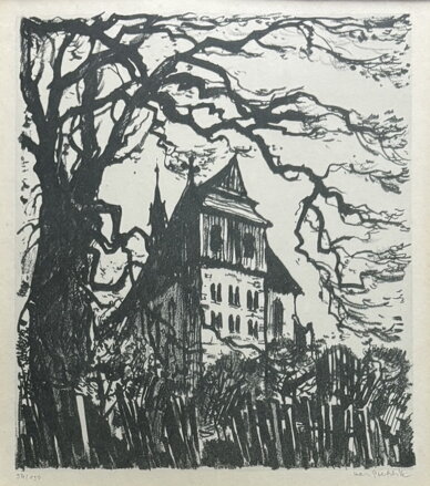 SVĚDKOVÉ STALETÍ - STEHLÍK KAREL