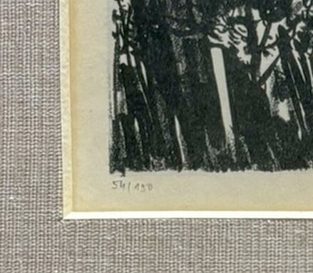 SVĚDKOVÉ STALETÍ - STEHLÍK KAREL