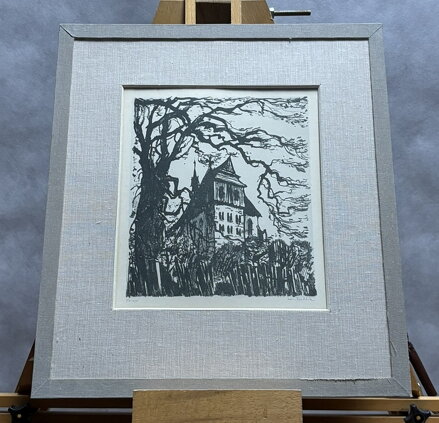 SVĚDKOVÉ STALETÍ - STEHLÍK KAREL