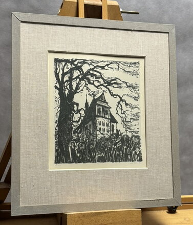 SVĚDKOVÉ STALETÍ - STEHLÍK KAREL