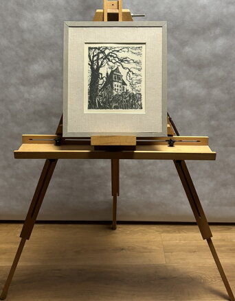 SVĚDKOVÉ STALETÍ - STEHLÍK KAREL